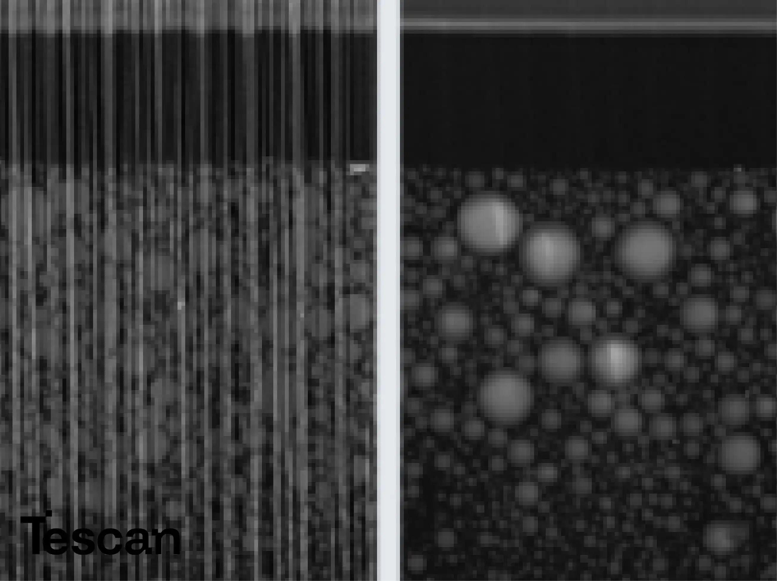 Tescan FIB-SEM for Life Science